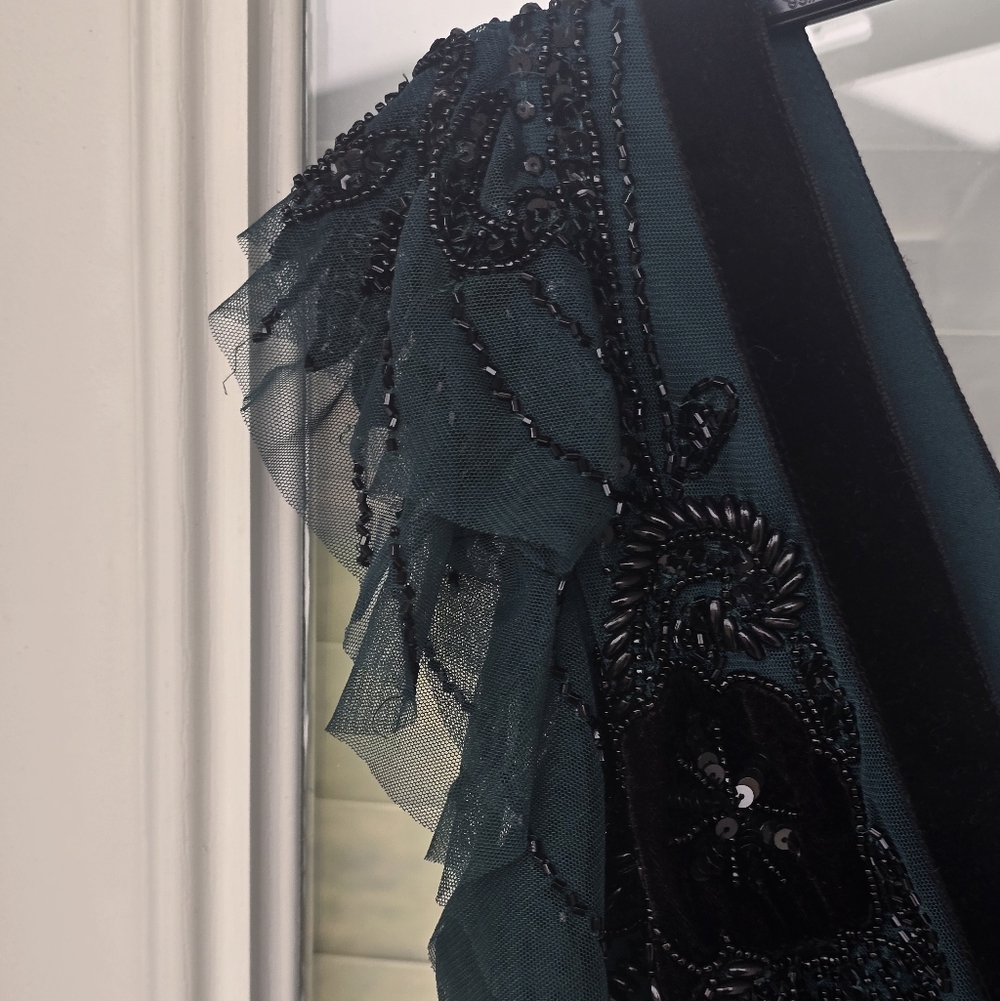 $799 Adrianna Papell Velvet-Trim Embellished Midi Bead Mesh Dress Sz 2 Old Money - Picture 16 of 16